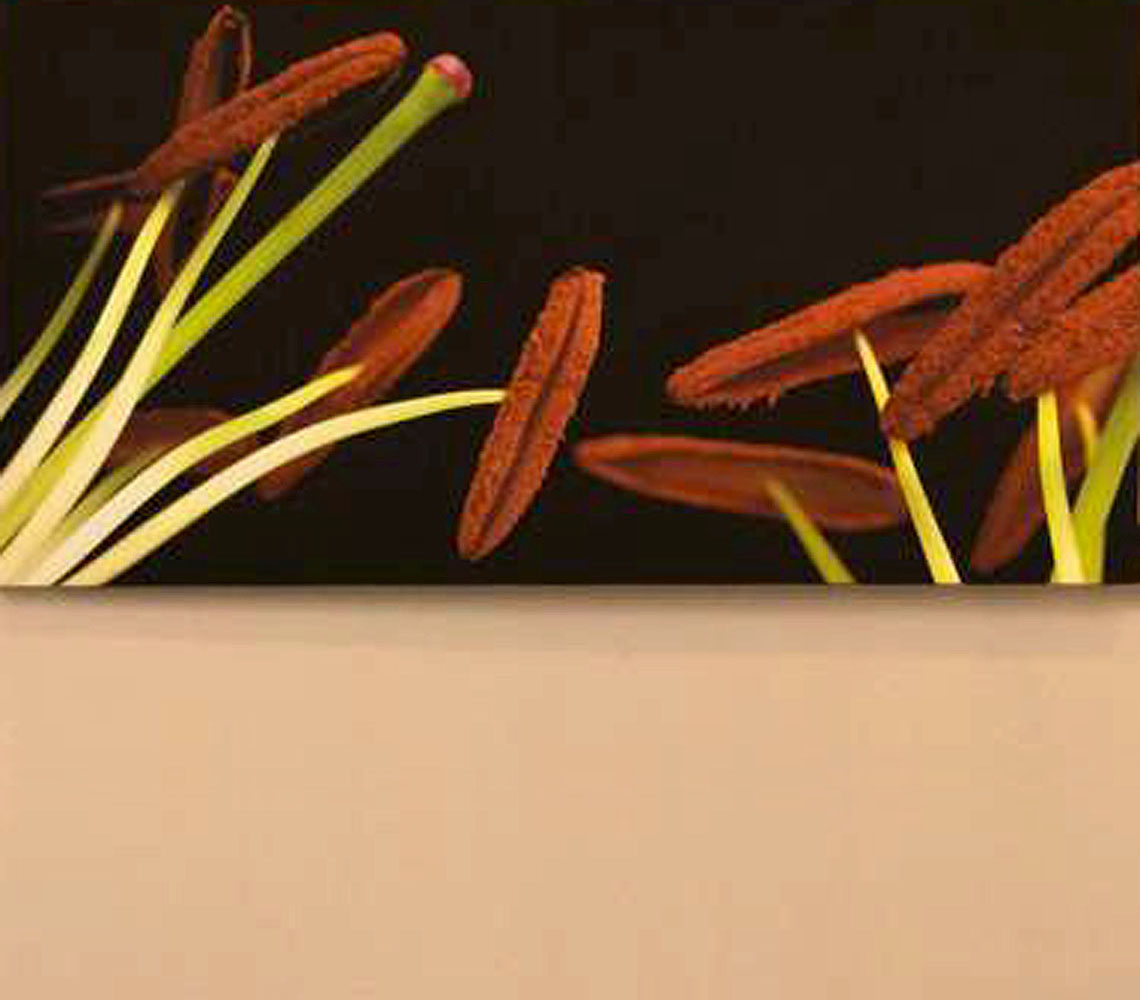 Plaza Hotel designed by Dsignio